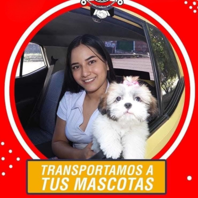 transportamos-tu-mascota-aerotaxis-neiva transportamos-tu-mascota-aerotaxis-neiva